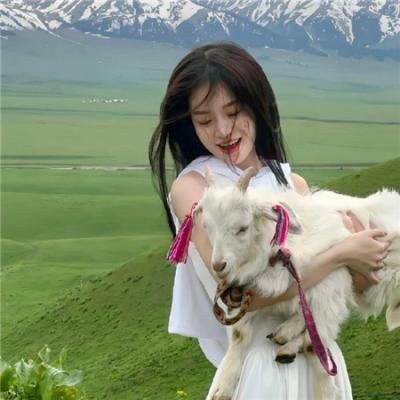 春色无边满杏林